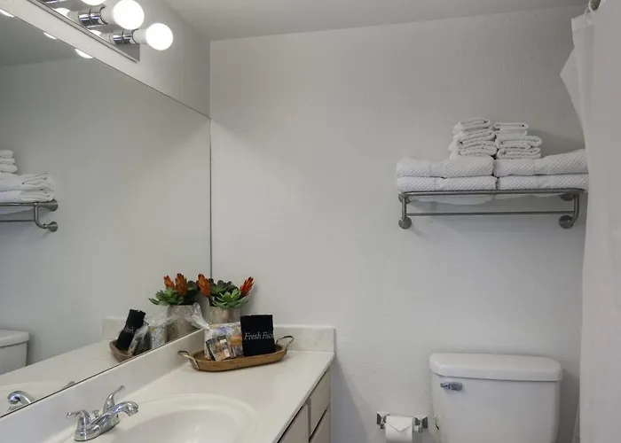 Apartment 125 Fully Furnished 1br Suite-prime Location Scottsdale